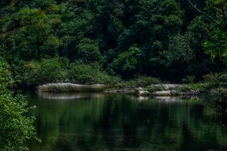 一条自驾游黄金线路，网友却吐槽“不过如此”，又凭什么火起来