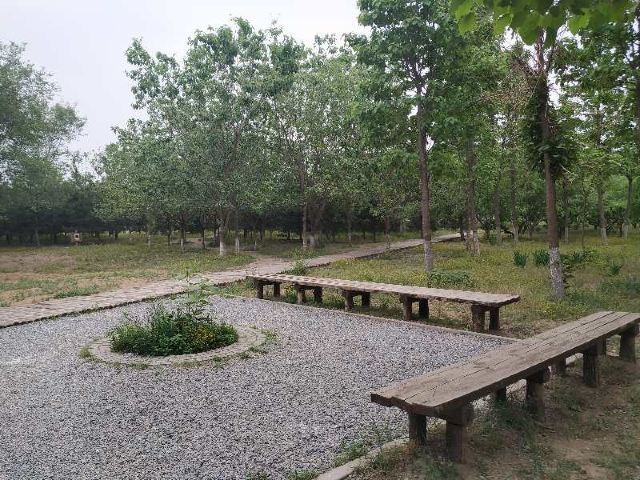 中关村公园旅行图片 1