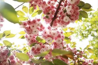 这个夏天，我想把最好的给你