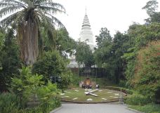 塔山-金边-q****ky