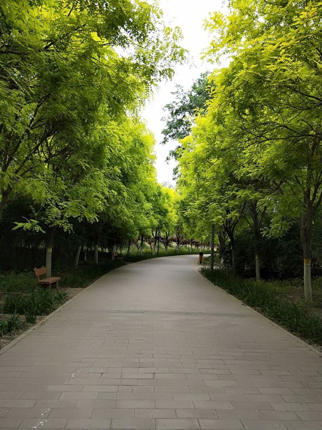 奥北森林公园二期北区旅行图片 4