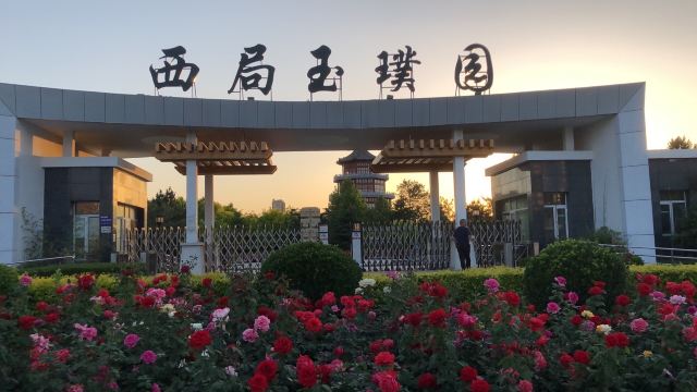 西局玉璞园旅行图片 2