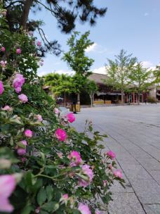 山海关古城景区-秦皇岛-YoYo_9Q5X8J3F