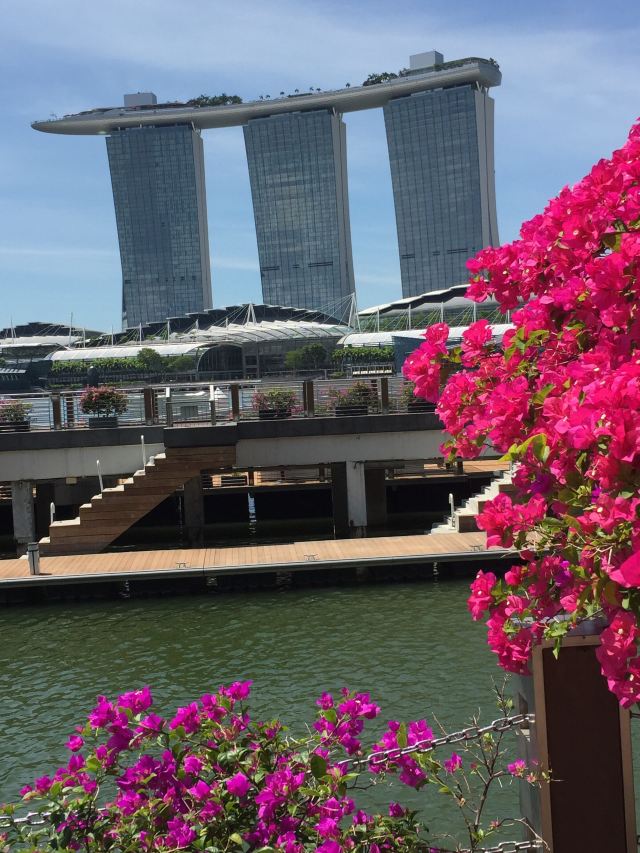 Sands SkyPark