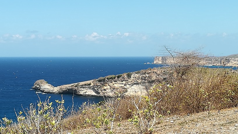 印尼龙目岛的粉色沙滩风景共赏