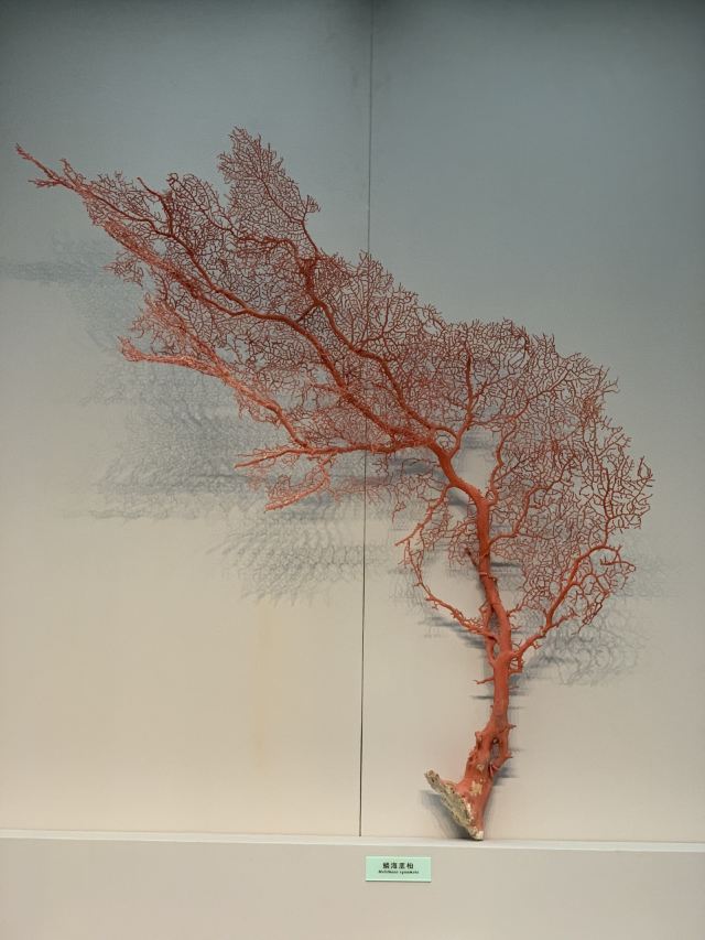 Tianjin Natural History Museum