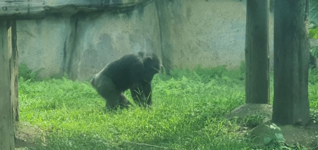 Taipei Zoo
