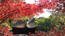 北塔报恩寺-苏州-貓貓達