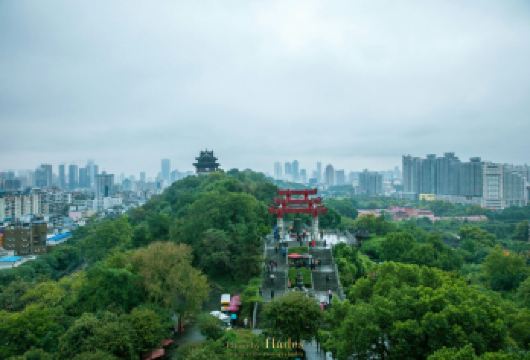 武汉黄鹤楼+省博+东湖【中旅优选丨3-6人小团/包车游】【[经典线路精品团]一次出行畅游武汉！听武汉故事，看武汉美景，吃武汉美食，感受不一样的大江大河大武汉！】