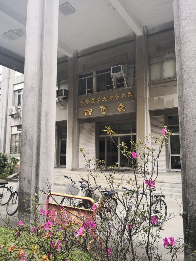 Taiwan University