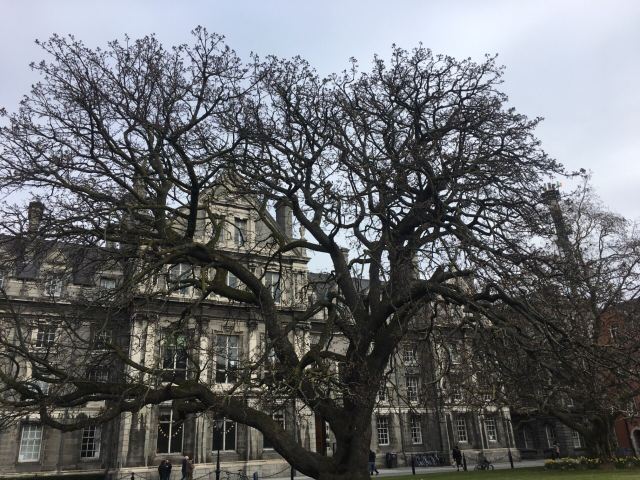 Trinity College