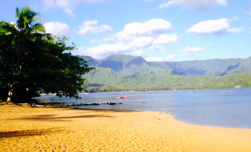 Tropical Taco餐厅图片