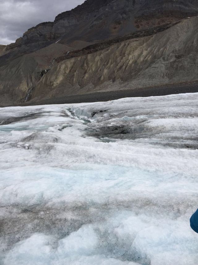 Columbia Icefield