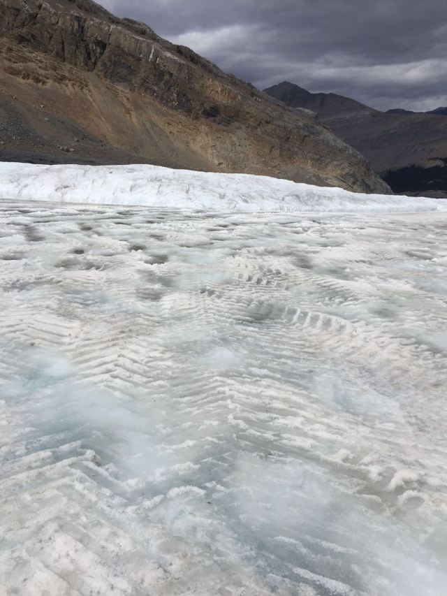 Columbia Icefield