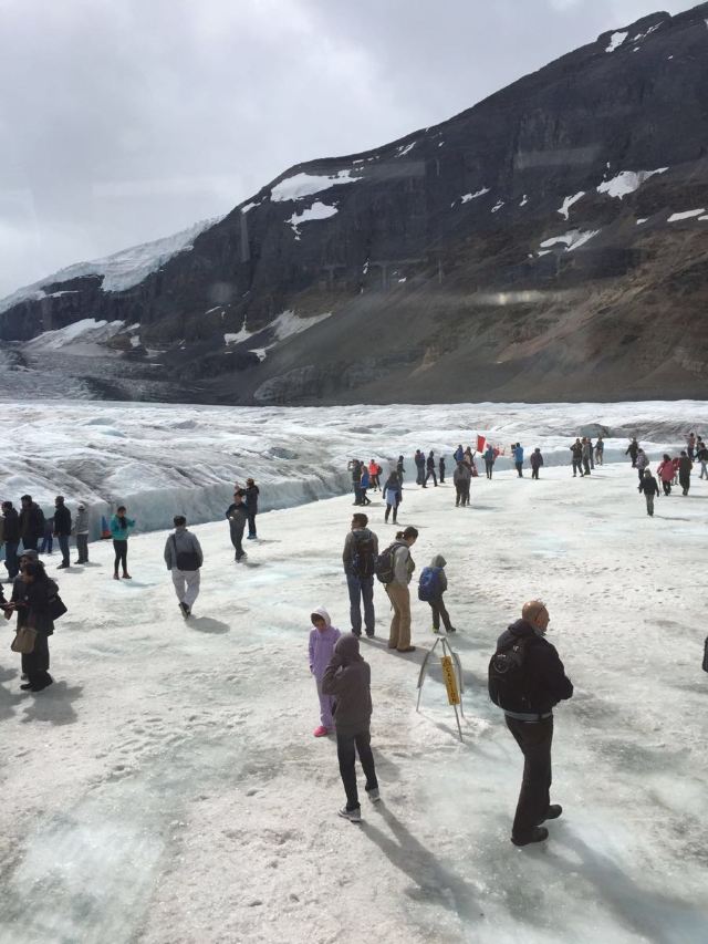 Columbia Icefield