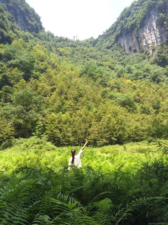 武隆天生三橋