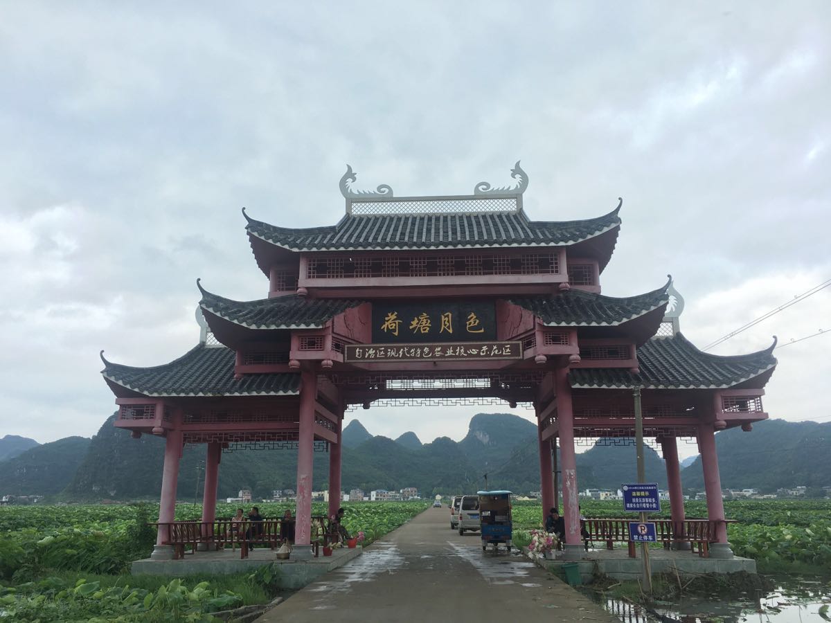 荷塘月色景区