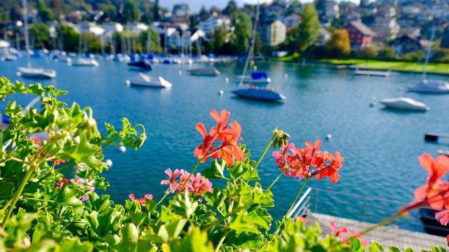 Town of Spiez