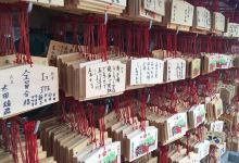 龙猫共和国（镰仓店）购物图片