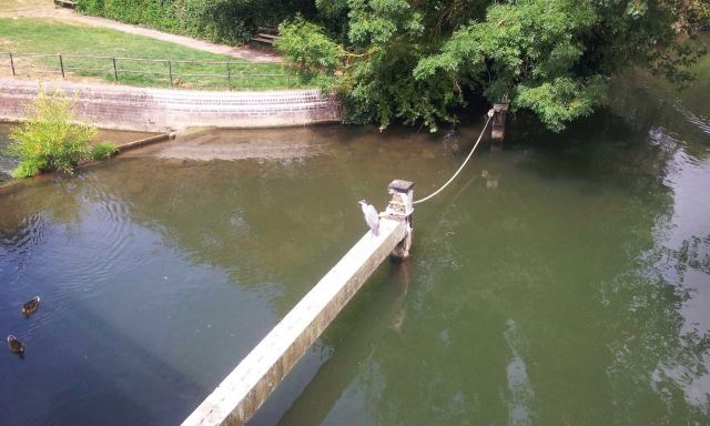Magdalen Bridge Boathouse Punting Tours Attractions Oxford Travel Review Travel Guide Trip Com