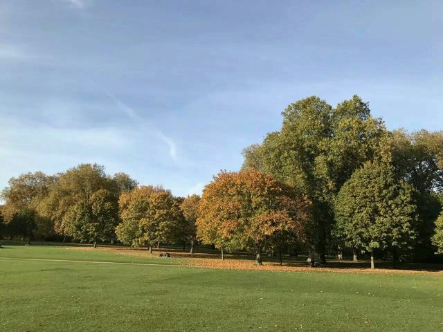 Hyde Park
