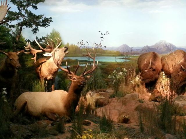 Tianjin Natural History Museum