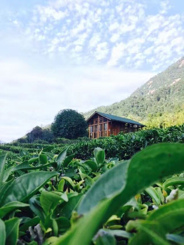 Gupo Mountain
