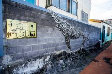济州壁画街道-济州市-doris圈圈