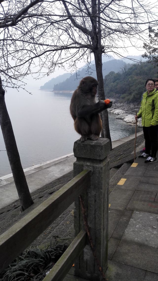 千島湖東南湖區景區