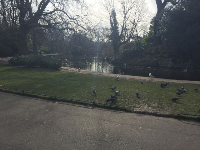 St. Stephen's Green