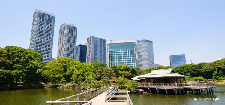 Hama Rikyu Gardens Travel Guidebook Must Visit Attractions In