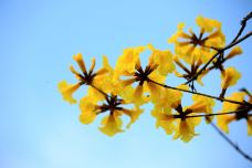 剑英公园-梅州-懟懟