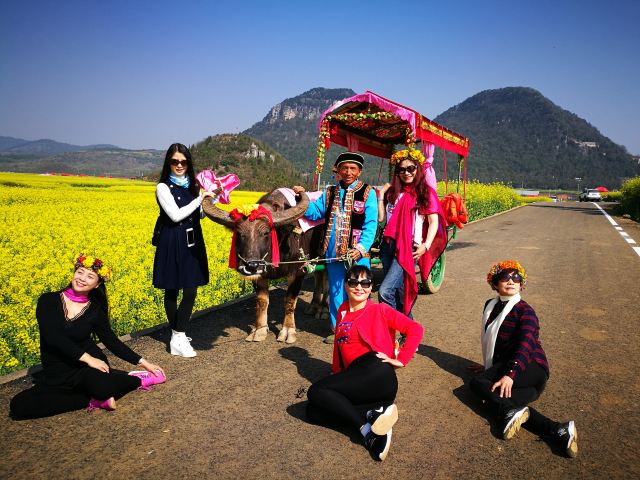 Luoping Canola Flower Ocean