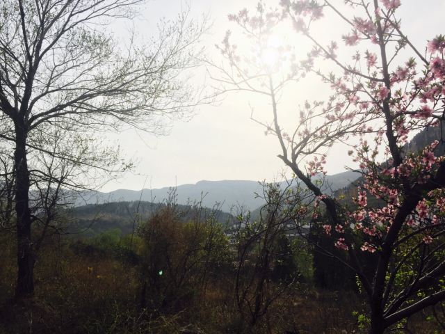 주자위