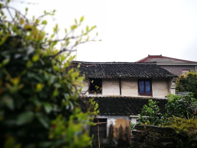 팡자허터우춘