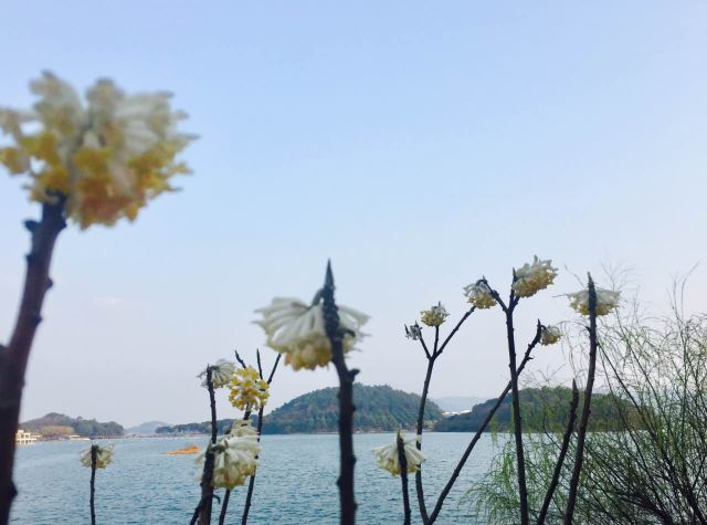 Tianmu Lake Scenic Area