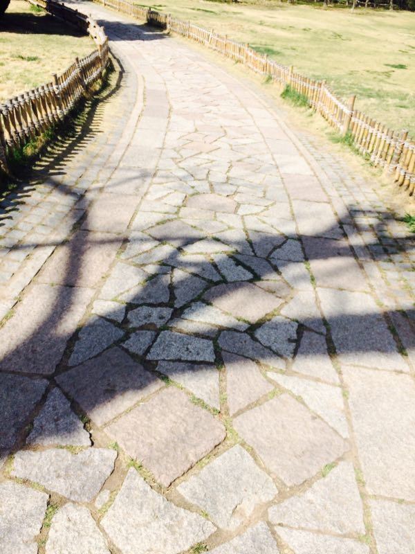 中山公園