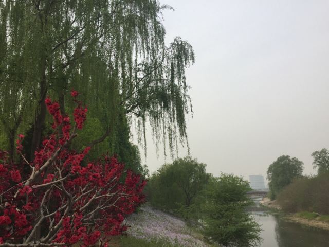 Jiangfu Park