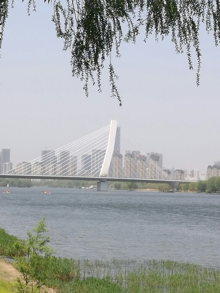 富民桥