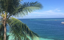 Voda Krasna Resort & Restaurant餐厅图片