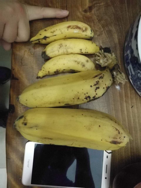这么大的香蕉第一次看到啊😊