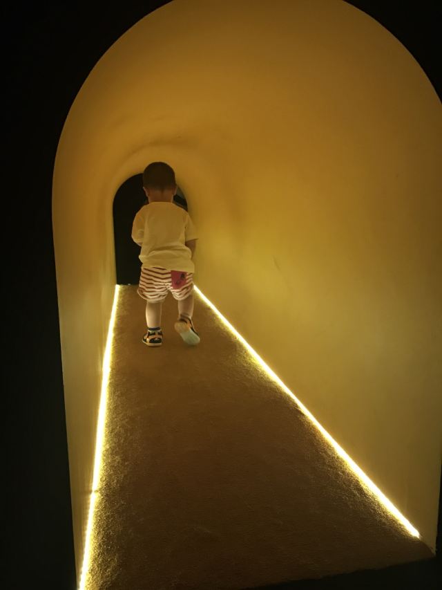 ArtScience Museum