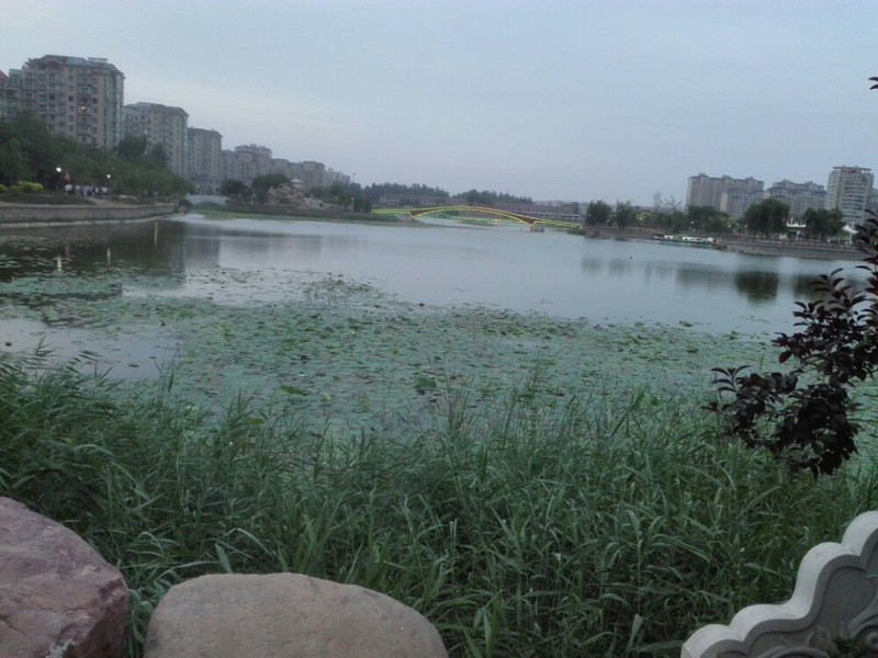 衡水