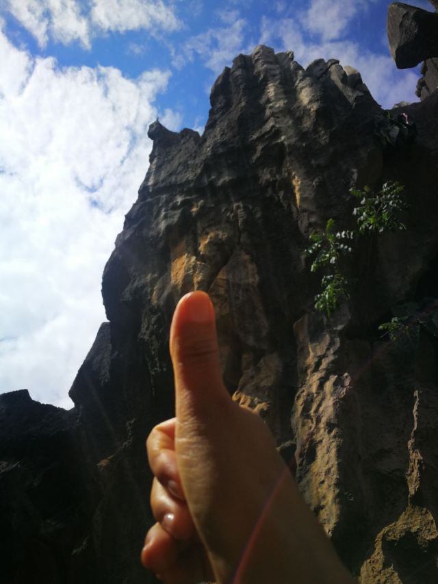 Stone Forest