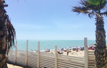 Bcool Beach餐厅图片