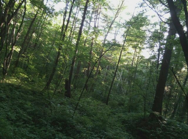 Mojie (Devil) Scenic Area