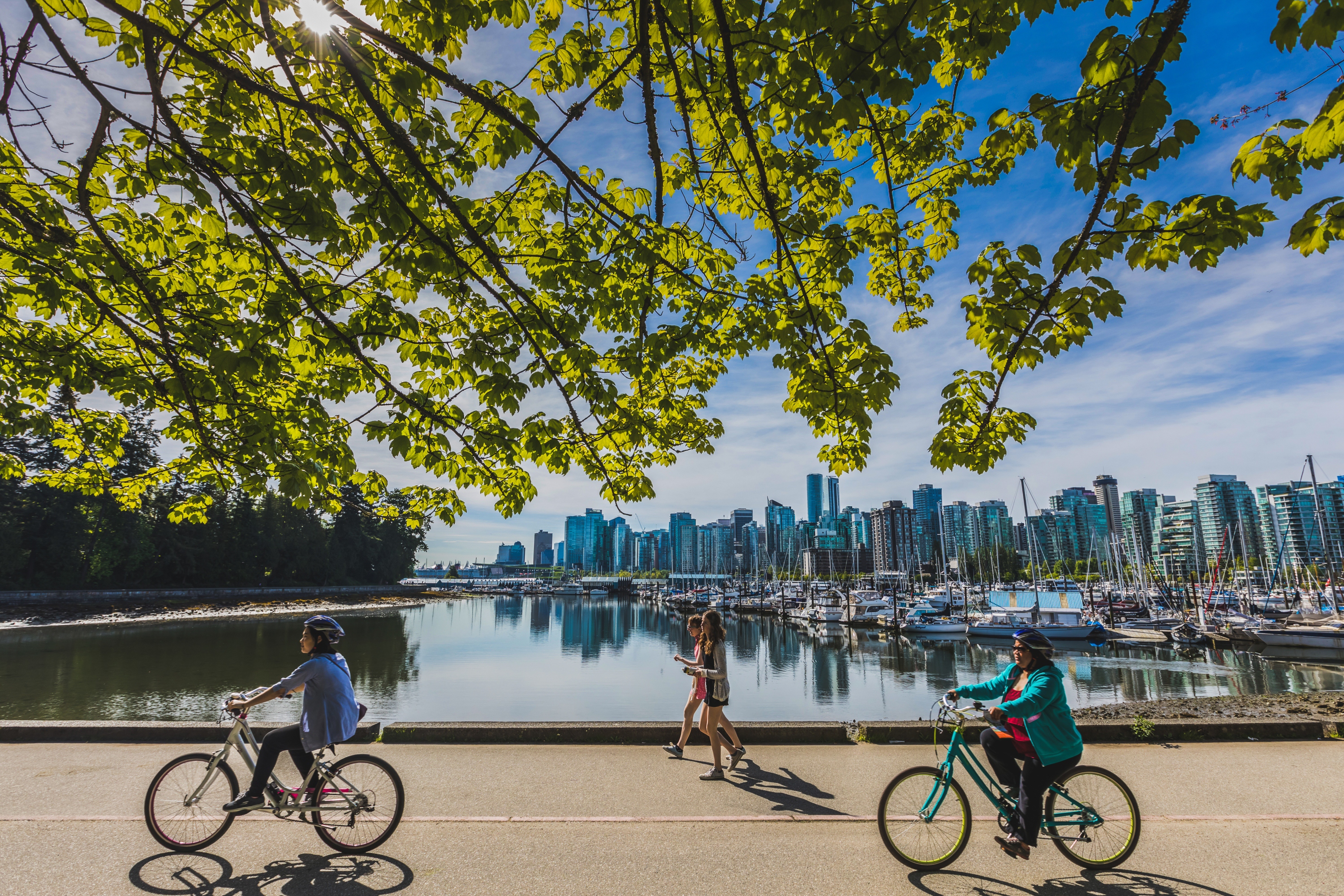 stanley park horse drawn tours