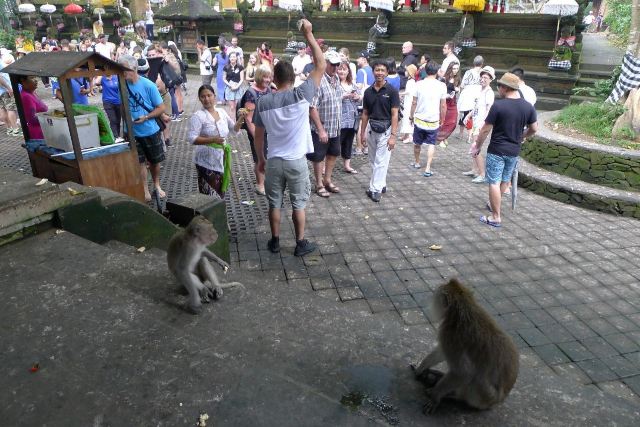 Ubud Monkey Forest
