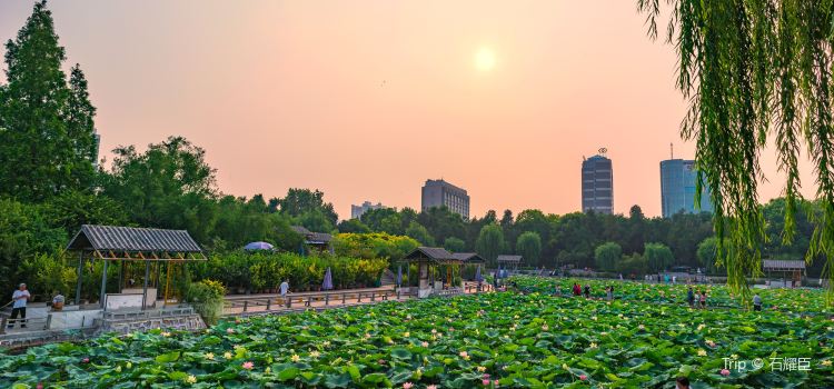 Zijing Mountain Park Tickets Deals Reviews Family - 