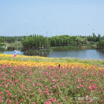绍兴鲁迅故里+三味书屋+百草园+东湖+绍兴古城+仓桥直街乌篷船观光+杭州湾海上花田3日2晚私家团